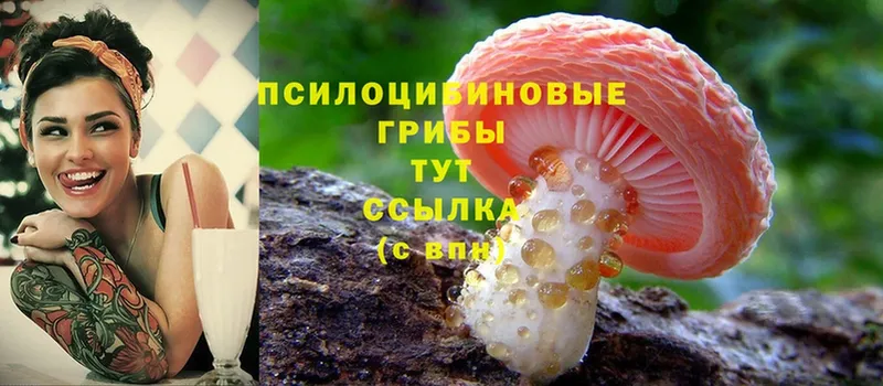 Галлюциногенные грибы MAGIC MUSHROOMS  где купить наркоту  Балахна 